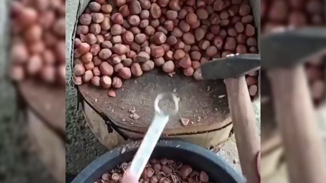 Лайфхак. Как расколоть орехи? Быстро удобно и легко. смотреть онлайн