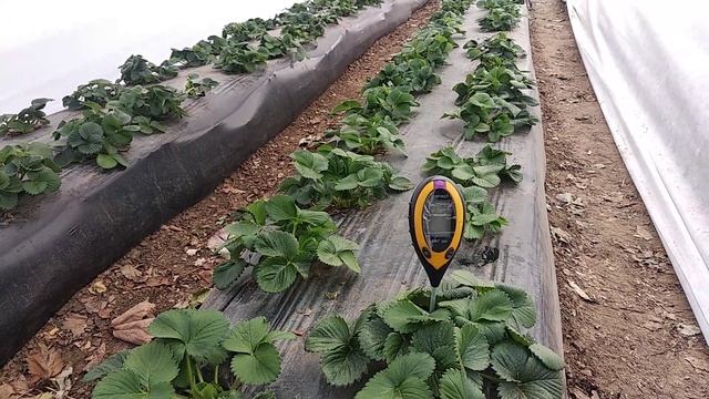 Обращение. Ответы на часто задаваемые вопросы. смотреть онлайн