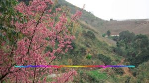 Зугра Меджидова - Поговори со мной