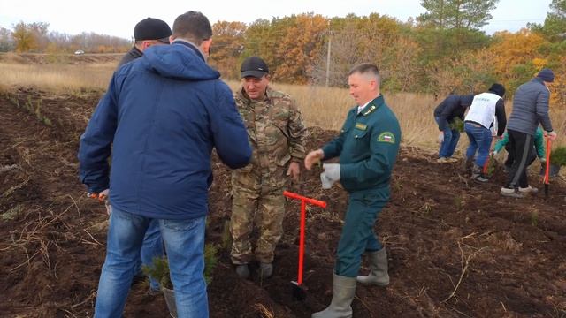 Оренбург. Репортаж с посадки леса 18.10.22 смотреть онлайн