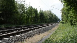 Поезд едет. Шум поезда. Смотреть как едет поезд /The noise of the train. Watch the train ride