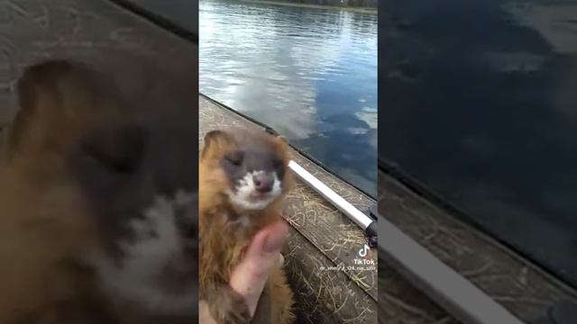 с бодуна смотреть онлайн