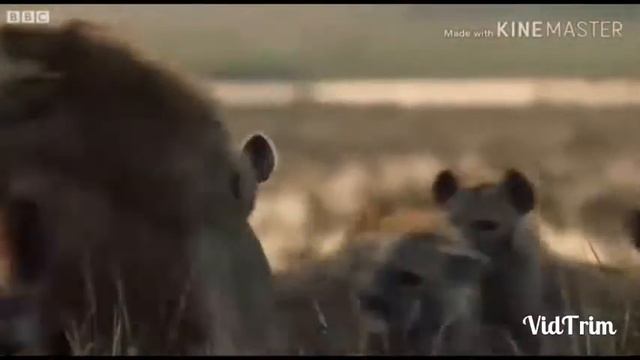 Брат!!!!Нет ничего дороже!!!! смотреть онлайн