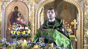 Проповедь на День Святой Троицы  Пятидесятница  8 июня 2014 г