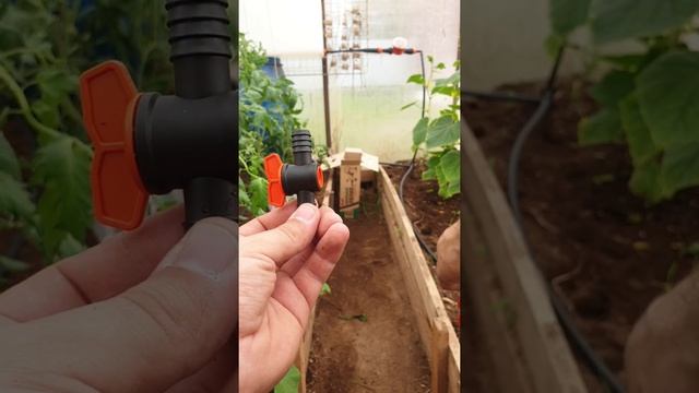 Капельный полив от ёмкости