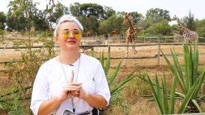 Погода в Тунисе в октябре. Температура воды в море в Тунисе