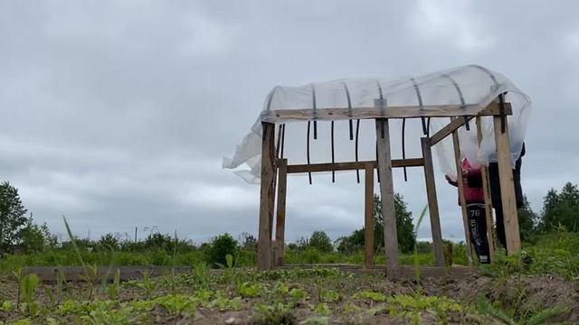 БЮДЖЕТНАЯ ТЕПЛИЦА-ПАРНИК своими руками! Из старых досок. Без вложений! смотреть онлайн