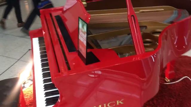Сам играющий фортепиано 🎹 смотреть онлайн