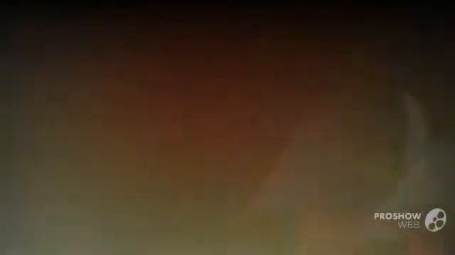 Anagallis - garden plants смотреть онлайн