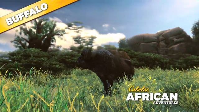 Cabela's African Adventures Cape Buffalo 360 смотреть онлайн