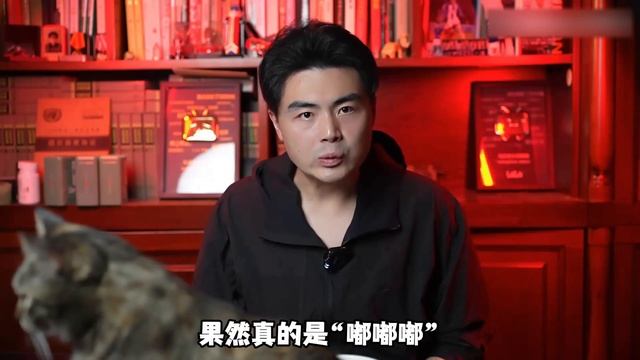 【邓肯】慎入！中国职业拳击手在泰国遭遇的诡异恐怖事件！ смотреть онлайн