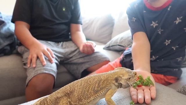 15 million people saw THIS! (my most VIRAL post EVER 😭) смотреть онлайн