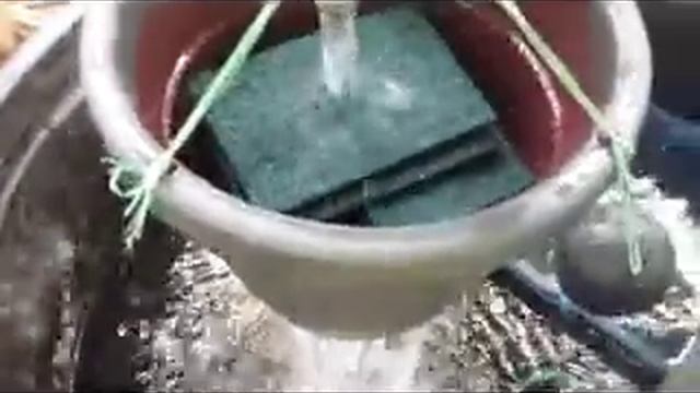 Easy Way To make Filter For Aquaponics смотреть онлайн