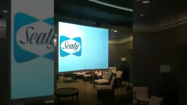 Sealy logo смотреть онлайн