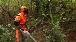 Видеообзор пилы STIHL MS 661