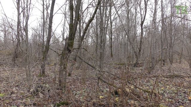 Костюм Горка. Светлый vs Тёмный. Сравнительный тест / Gorka suit. Light vs Dark. Comparison test смотреть онлайн