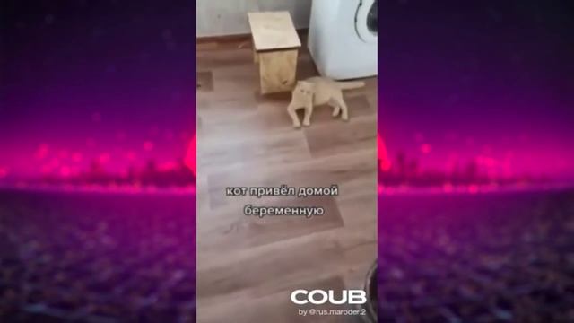 М-м-м Вкуснотища, Ростовский Кот Фёдя, Надувные Ракеты смотреть онлайн