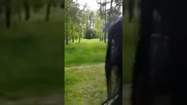 ЗАГОВОР ОТ КЛЕЩА ДЛЯ ВСЕХ. От Инги Хосроевой смотреть онлайн