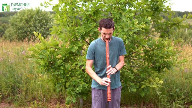Сочная басовая Сякухати в Ля из палисандра мастерской Гармония Звука смотреть онлайн