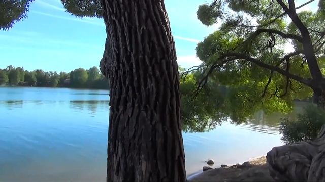 Я на озере сижу. Стихи для души. Озерки Санкт-Петербург смотреть онлайн