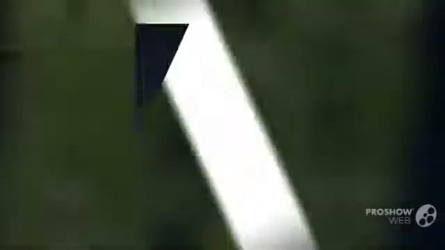 Moluccella - garden plants смотреть онлайн