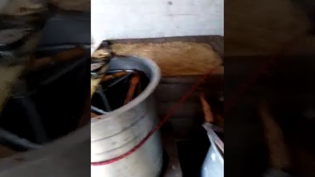 Как качают мед на небольшой пасике.Выкачка меда смотреть онлайн