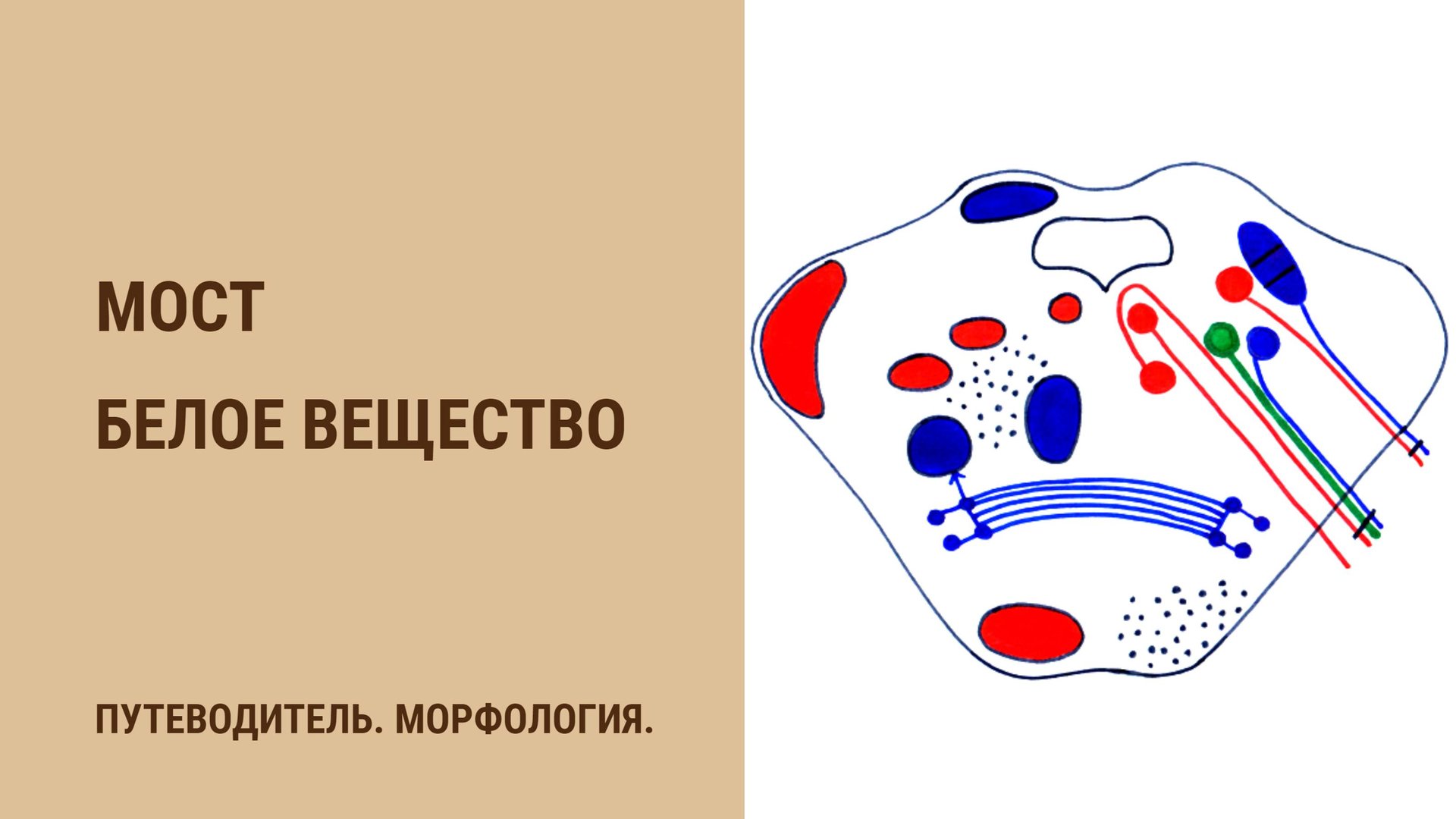 Мост. Белое вещество смотреть онлайн