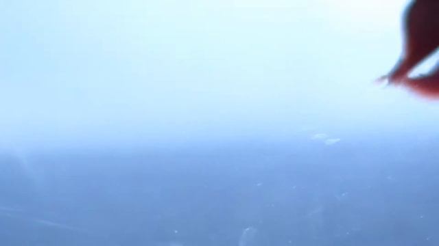 A Betta Fish with Mass Effect Music смотреть онлайн