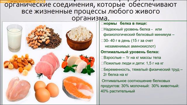 Зачем нам нужен белок и сколько смотреть онлайн