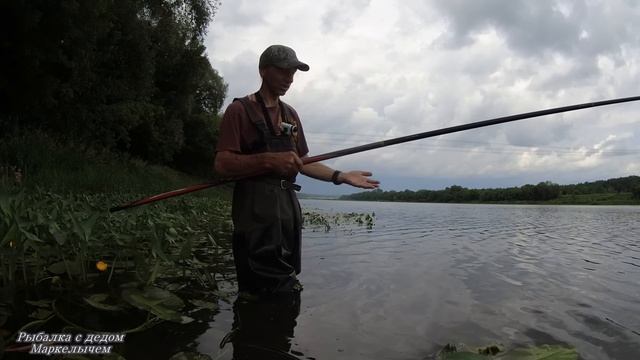 Привязал НИМФУ и ПОЙМАЛ ЖИРНУЮ ПЛОТВУ. Рыбалка на Оке на боковой кивок в июне. смотреть онлайн
