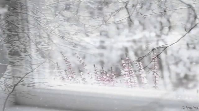 Ах, острый коготок обиды прошлой /Валентина Григорьева. Запись 2016г./ смотреть онлайн