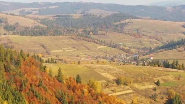 Брат жену из деревни вывез, а вот деревню из жены вывести не смог Стыдно приглашать ее на семейные смотреть онлайн