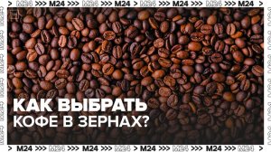 Эксперты рассказали, как выбрать кофе в зернах - Москва 24