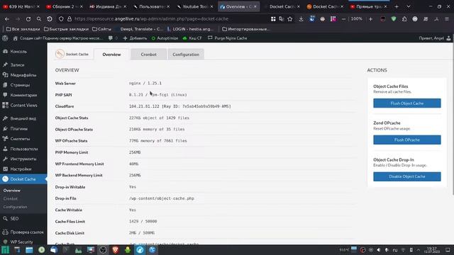 Объектное кэширование Wordpress на любом хостинге. Зачем Redis и Memcached, когда есть Docket Cache смотреть онлайн