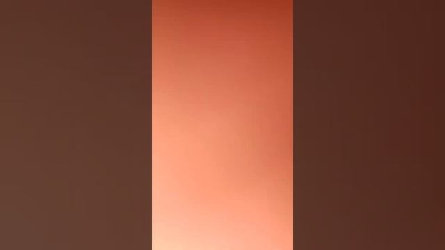 Что происходит ночью в удельном парке. смотреть онлайн