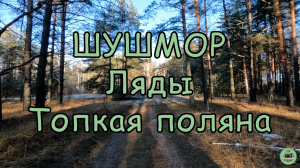 Шушмор. Ляды. Мегалиты Топкой поляны.