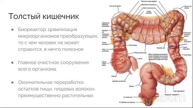 Кофейные Клизмы смотреть онлайн