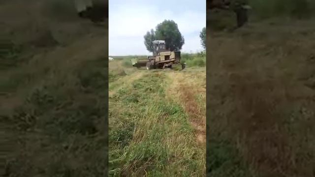 МТЗ 82 Немка Кок тобе 3 20160512 смотреть онлайн