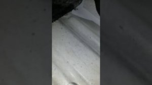 Приора вода под водительским ковриком!