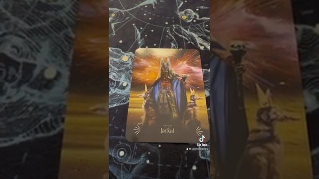 Divine Animals oracle card of the day! 29/10/2022 смотреть онлайн