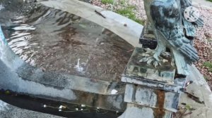 Жизнь на юге Англии.два новых кавалера с тем же успехом,что и предыдущие