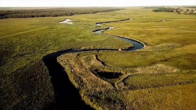 Крайон «Путешествие домой» Автор Ли Кэрролл/ Самый известный ченнелинг/ часть 2 смотреть онлайн