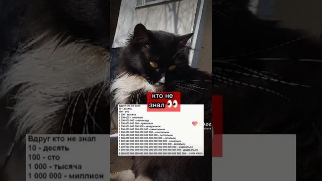 Дев4онка_В_Короб4онке