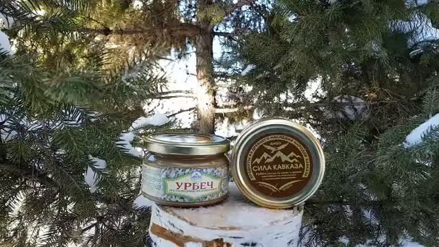 УРБЕЧ из СЕМЯН ПОДСОЛНУХА || Способствует снижению холестерина смотреть онлайн