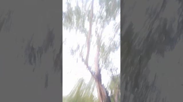 я еду на велосепеди с высокой горы смотреть онлайн