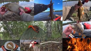 ВОТ ОНА! НАСТОЯЩАЯ РЫБАЛКА! Один, с Ночёвкой в палатке, в Дали от цивилизации! Полный отрыв! Лозьва!