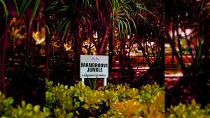 Oldschool jazzy jungle mix | Mangroove Jungle vol.1 #jungle