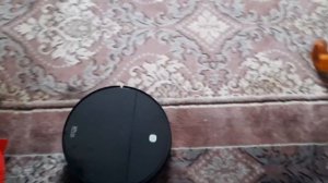 Робот-пылесос Royal Wellfort VT-33. Обзор.