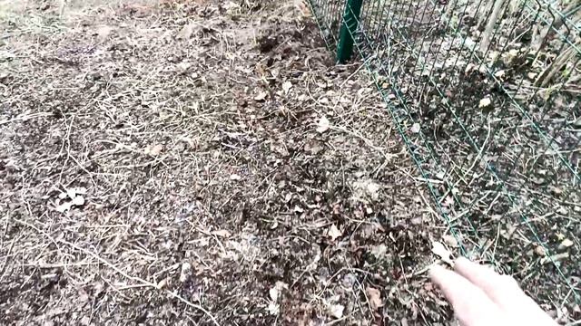 как быстро сделать забор. смотреть онлайн