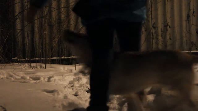 Winter 2016.Tyson 1 year смотреть онлайн